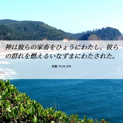 Picture 06 - 詩篇 78:48 JPN - 神は彼らの家畜をひょうにわたし、 - Bible Verse Picture