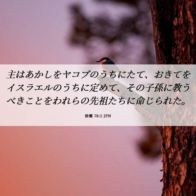 Picture 06 - 詩篇 78:5 JPN - 主はあかしをヤコブのうちにたて、 - Bible Verse Picture