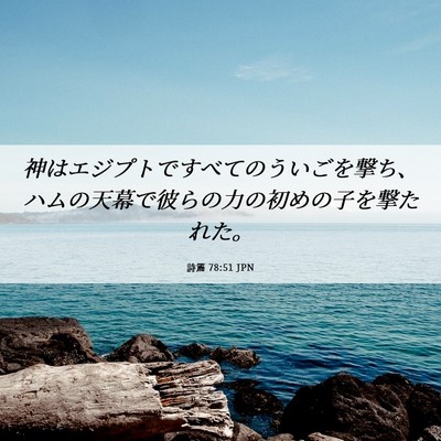 Picture 06 - 詩篇 78:51 JPN - 神はエジプトですべてのういごを撃 - Bible Verse Picture