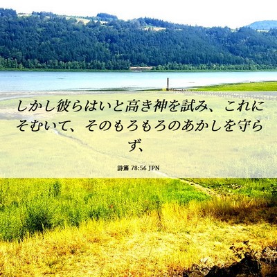 Picture 06 - 詩篇 78:56 JPN - しかし彼らはいと高き神を試み、こ - Bible Verse Picture
