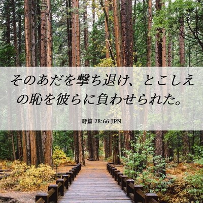 Picture 06 - 詩篇 78:66 JPN - そのあだを撃ち退け、とこしえの恥 - Bible Verse Picture