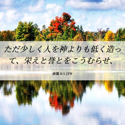 Picture 06 - 詩篇 8:5 JPN - ただ少しく人を神よりも低く造って - Bible Verse Picture