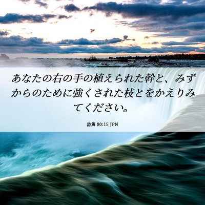 Picture 06 - 詩篇 80:15 JPN - あなたの右の手の植えられた幹と、 - Bible Verse Picture
