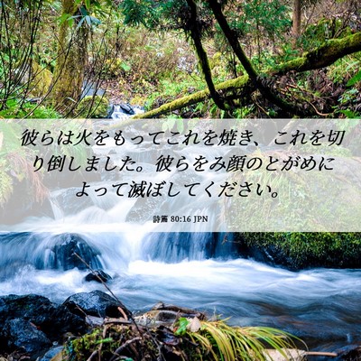 Picture 06 - 詩篇 80:16 JPN - 彼らは火をもってこれを焼き、これ - Bible Verse Picture