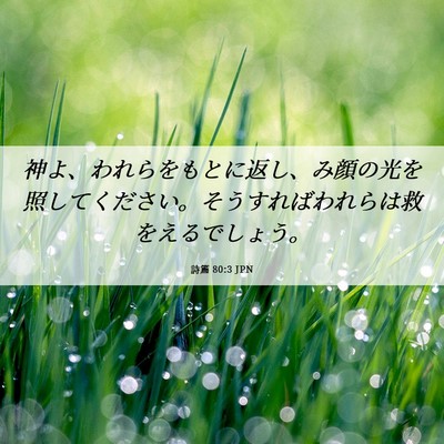 Picture 06 - 詩篇 80:3 JPN - 神よ、われらをもとに返し、み顔の - Bible Verse Picture