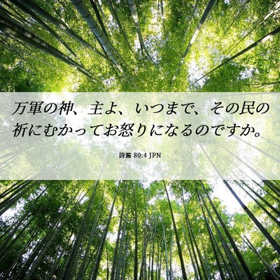 Picture 06 - 詩篇 80:4 JPN - 万軍の神、主よ、いつまで、その民 - Bible Verse Picture