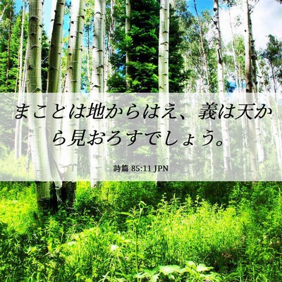 Picture 06 - 詩篇 85:11 JPN - まことは地からはえ、義は天から見 - Bible Verse Picture