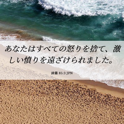 Picture 06 - 詩篇 85:3 JPN - あなたはすべての怒りを捨て、激し - Bible Verse Picture