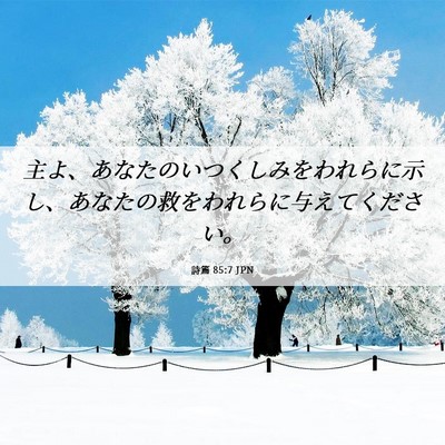 Picture 06 - 詩篇 85:7 JPN - 主よ、あなたのいつくしみをわれら - Bible Verse Picture