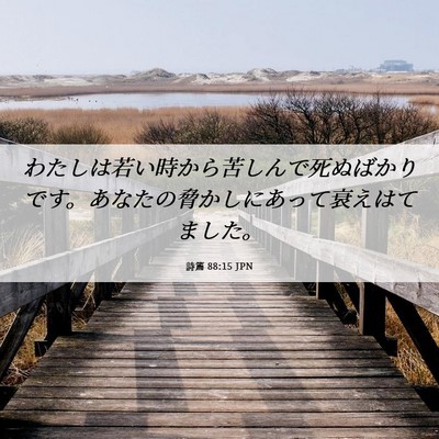 Picture 06 - 詩篇 88:15 JPN - わたしは若い時から苦しんで死ぬば - Bible Verse Picture