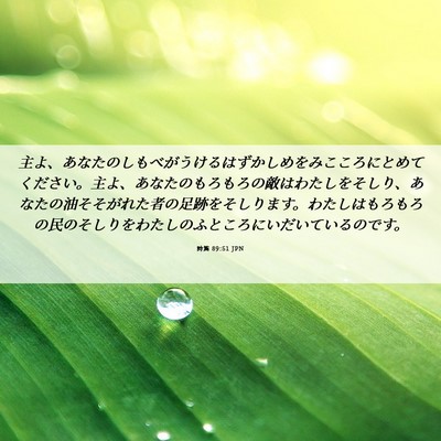 Picture 06 - 詩篇 89:51 JPN - 主よ、あなたのしもべがうけるはず - Bible Verse Picture