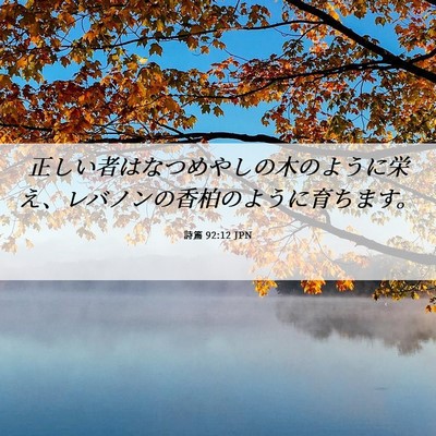 Picture 06 - 詩篇 92:12 JPN - 正しい者はなつめやしの木のように - Bible Verse Picture
