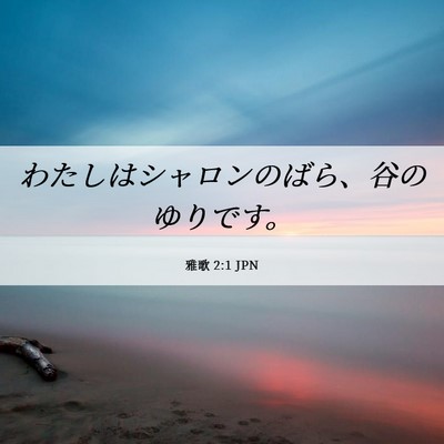 Picture 06 - 雅歌 2:1 JPN - わたしはシャロンのばら、谷のゆり - Bible Verse Picture