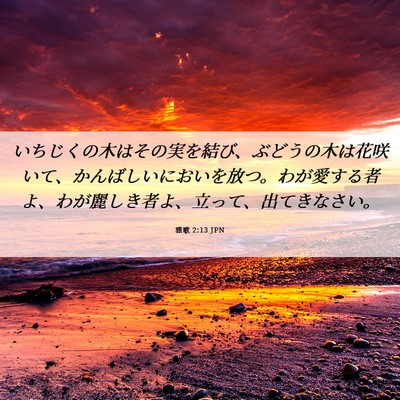 Picture 06 - 雅歌 2:13 JPN - いちじくの木はその実を結び、ぶど - Bible Verse Picture