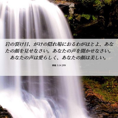Picture 06 - 雅歌 2:14 JPN - 岩の裂け目、がけの隠れ場におるわ - Bible Verse Picture