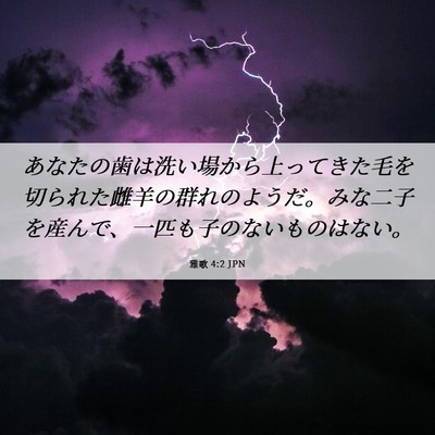Picture 06 - 雅歌 4:2 JPN - あなたの歯は洗い場から上ってきた - Bible Verse Picture