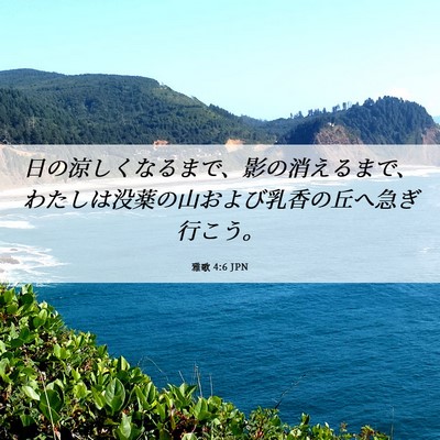 Picture 06 - 雅歌 4:6 JPN - 日の涼しくなるまで、影の消えるま - Bible Verse Picture