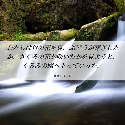 Picture 06 - 雅歌 6:11 JPN - わたしは谷の花を見、ぶどうが芽ざ - Bible Verse Picture