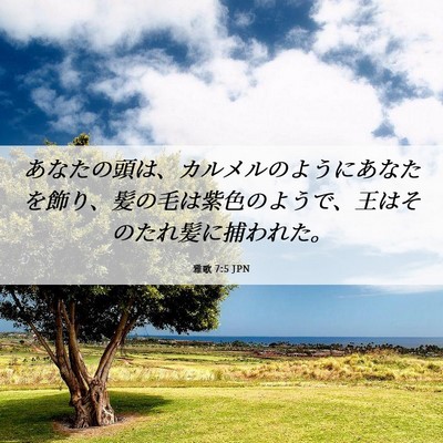 Picture 06 - 雅歌 7:5 JPN - あなたの頭は、カルメルのようにあ - Bible Verse Picture