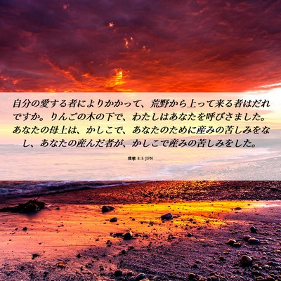 Picture 06 - 雅歌 8:5 JPN - 自分の愛する者によりかかって、荒 - Bible Verse Picture