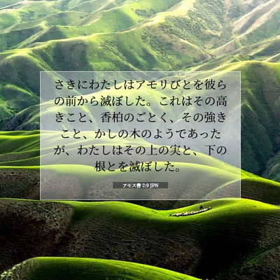 Picture 07 - アモス書 2:9 JPN - さきにわたしはアモリびとを彼らの - Bible Verse Picture