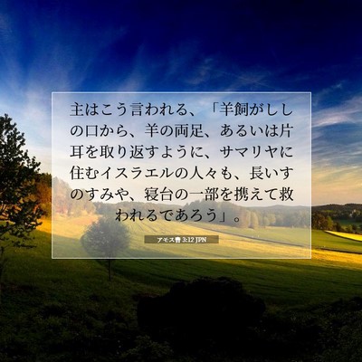 Picture 07 - アモス書 3:12 JPN - 主はこう言われる、「羊飼がししの - Bible Verse Picture