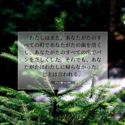 Picture 07 - アモス書 4:6 JPN - 「わたしはまた、あなたがたのすべ - Bible Verse Picture
