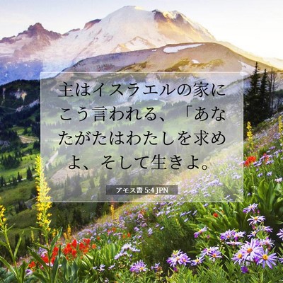 Picture 07 - アモス書 5:4 JPN - 主はイスラエルの家にこう言われる - Bible Verse Picture