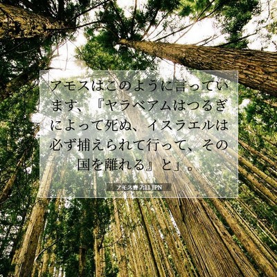 Picture 07 - アモス書 7:11 JPN - アモスはこのように言っています、 - Bible Verse Picture