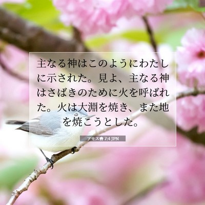 Picture 07 - アモス書 7:4 JPN - 主なる神はこのようにわたしに示さ - Bible Verse Picture