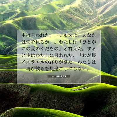 Picture 07 - アモス書 8:2 JPN - 主は言われた、「アモスよ、あなた - Bible Verse Picture