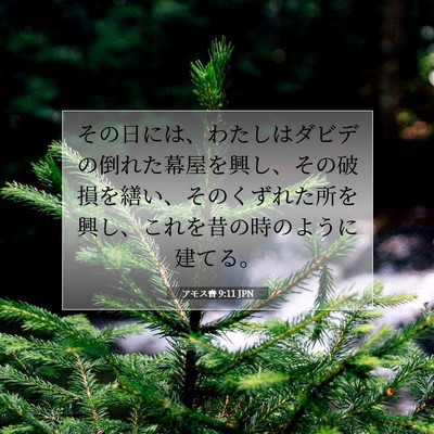 Picture 07 - アモス書 9:11 JPN - その日には、わたしはダビデの倒れ - Bible Verse Picture