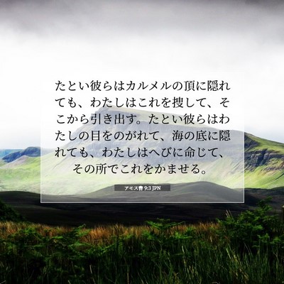 Picture 07 - アモス書 9:3 JPN - たとい彼らはカルメルの頂に隠れて - Bible Verse Picture