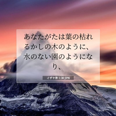 Picture 07 - イザヤ書 1:30 JPN - あなたがたは葉の枯れるかしの木の - Bible Verse Picture