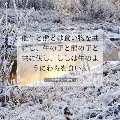 Picture 07 - イザヤ書 11:7 JPN - 雌牛と熊とは食い物を共にし、牛の - Bible Verse Picture