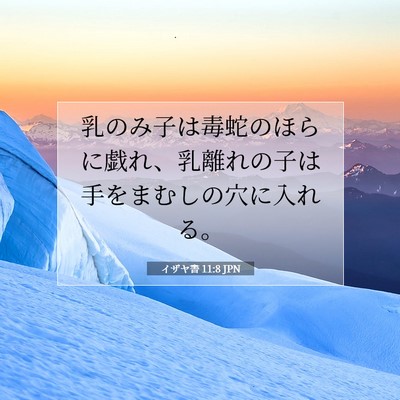 Picture 07 - イザヤ書 11:8 JPN - 乳のみ子は毒蛇のほらに戯れ、乳離 - Bible Verse Picture