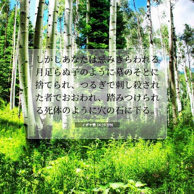 Picture 07 - イザヤ書 14:19 JPN - しかしあなたは忌みきらわれる月足 - Bible Verse Picture