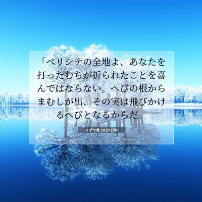 Picture 07 - イザヤ書 14:29 JPN - 「ペリシテの全地よ、あなたを打っ - Bible Verse Picture