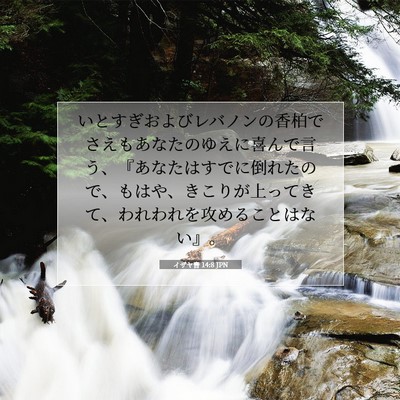 Picture 07 - イザヤ書 14:8 JPN - いとすぎおよびレバノンの香柏でさ - Bible Verse Picture