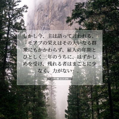 Picture 07 - イザヤ書 16:14 JPN - しかし今、主は語って言われる、「 - Bible Verse Picture