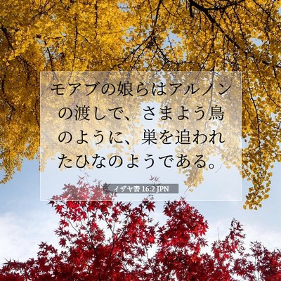 Picture 07 - イザヤ書 16:2 JPN - モアブの娘らはアルノンの渡しで、 - Bible Verse Picture