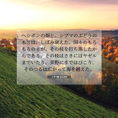 Picture 07 - イザヤ書 16:8 JPN - ヘシボンの畑と、シブマのぶどうの - Bible Verse Picture