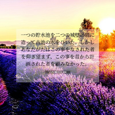 Picture 07 - イザヤ書 22:11 JPN - 一つの貯水池を二つの城壁の間に造 - Bible Verse Picture