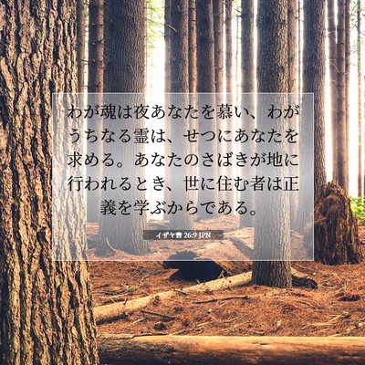 Picture 07 - イザヤ書 26:9 JPN - わが魂は夜あなたを慕い、わがうち - Bible Verse Picture