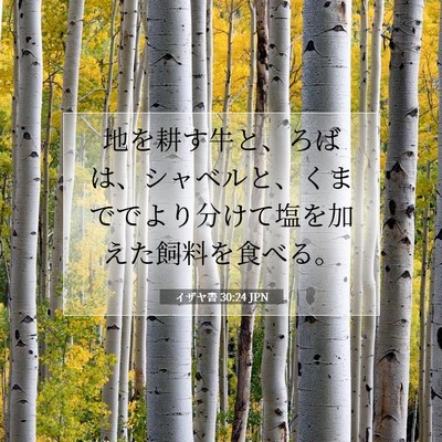 Picture 07 - イザヤ書 30:24 JPN - 地を耕す牛と、ろばは、シャベルと - Bible Verse Picture