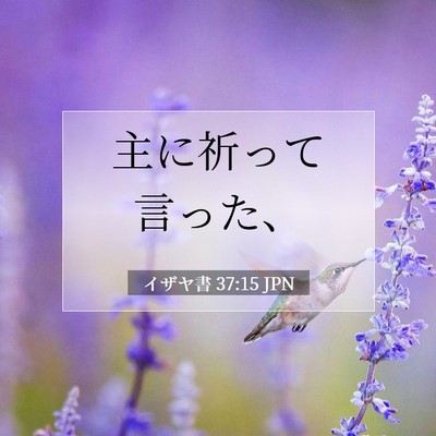 Picture 07 - イザヤ書 37:15 JPN - 主に祈って言った、 - Bible Verse Picture