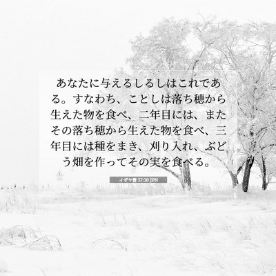 Picture 07 - イザヤ書 37:30 JPN - あなたに与えるしるしはこれである - Bible Verse Picture
