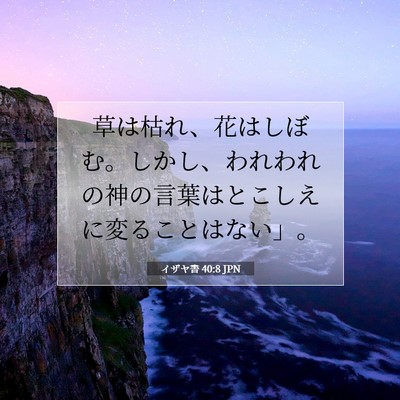 Picture 07 - イザヤ書 40:8 JPN - 草は枯れ、花はしぼむ。しかし、わ - Bible Verse Picture