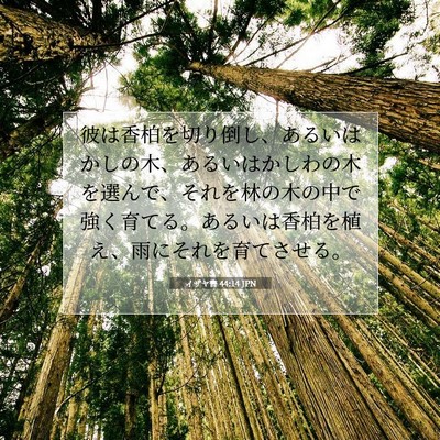 Picture 07 - イザヤ書 44:14 JPN - 彼は香柏を切り倒し、あるいはかし - Bible Verse Picture