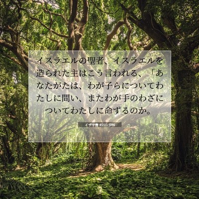 Picture 07 - イザヤ書 45:11 JPN - イスラエルの聖者、イスラエルを造 - Bible Verse Picture